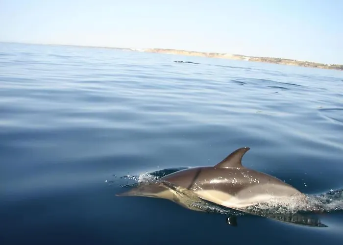 Διαμέρισμα Sea Breeze