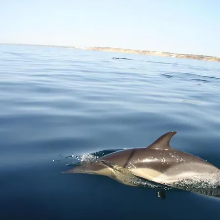Apartment Sea Breeze